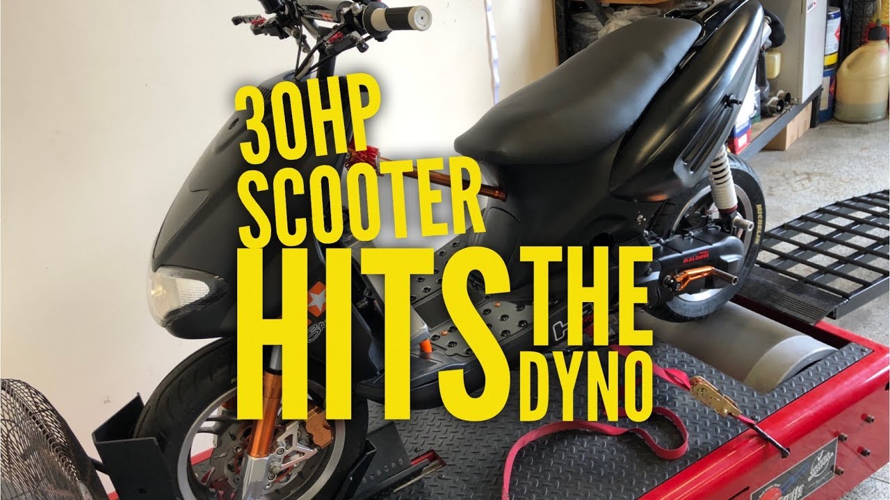 Scooter hits 30hp!!! scumberto harasses some kids