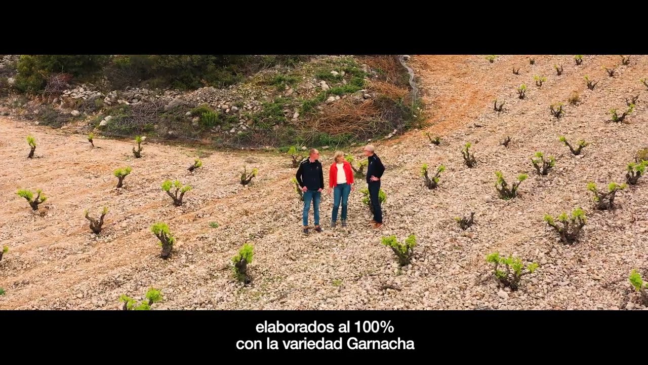 Bodem Bodegas - Bodega Sostenible - Vinos Veganos y Sostenibles 🌱