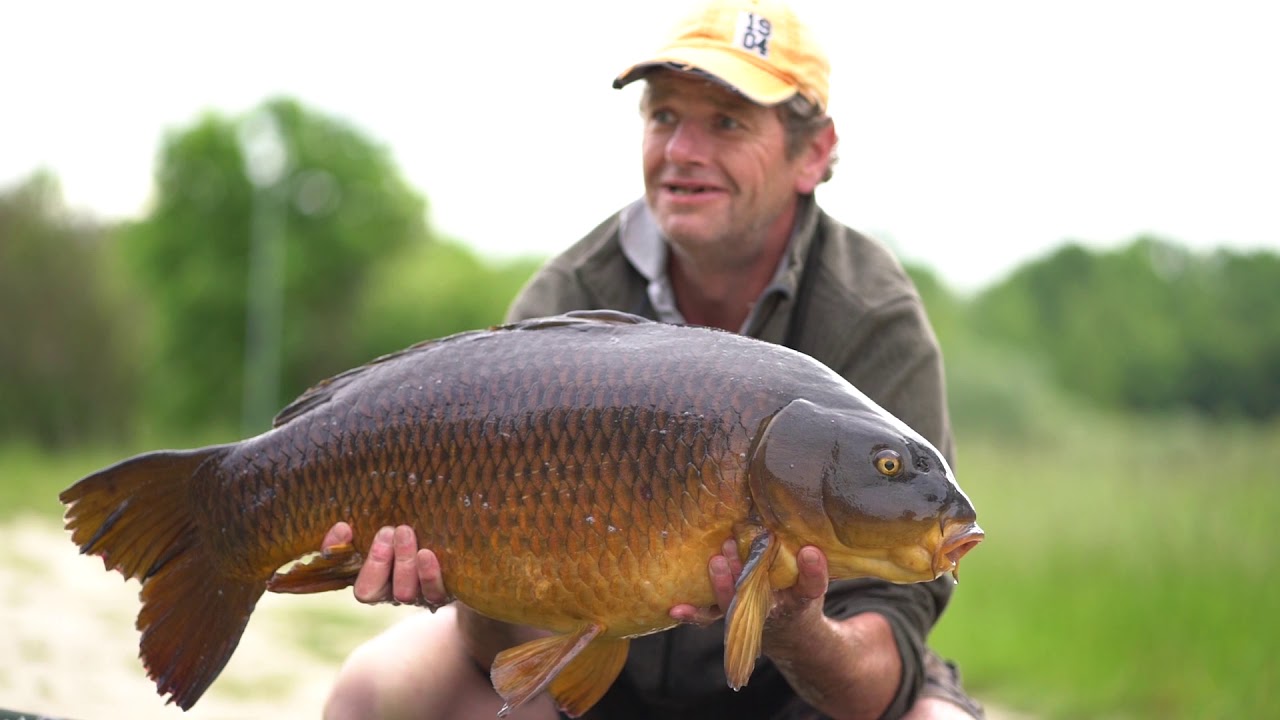 ETANG DE BERNIERE The Blog .