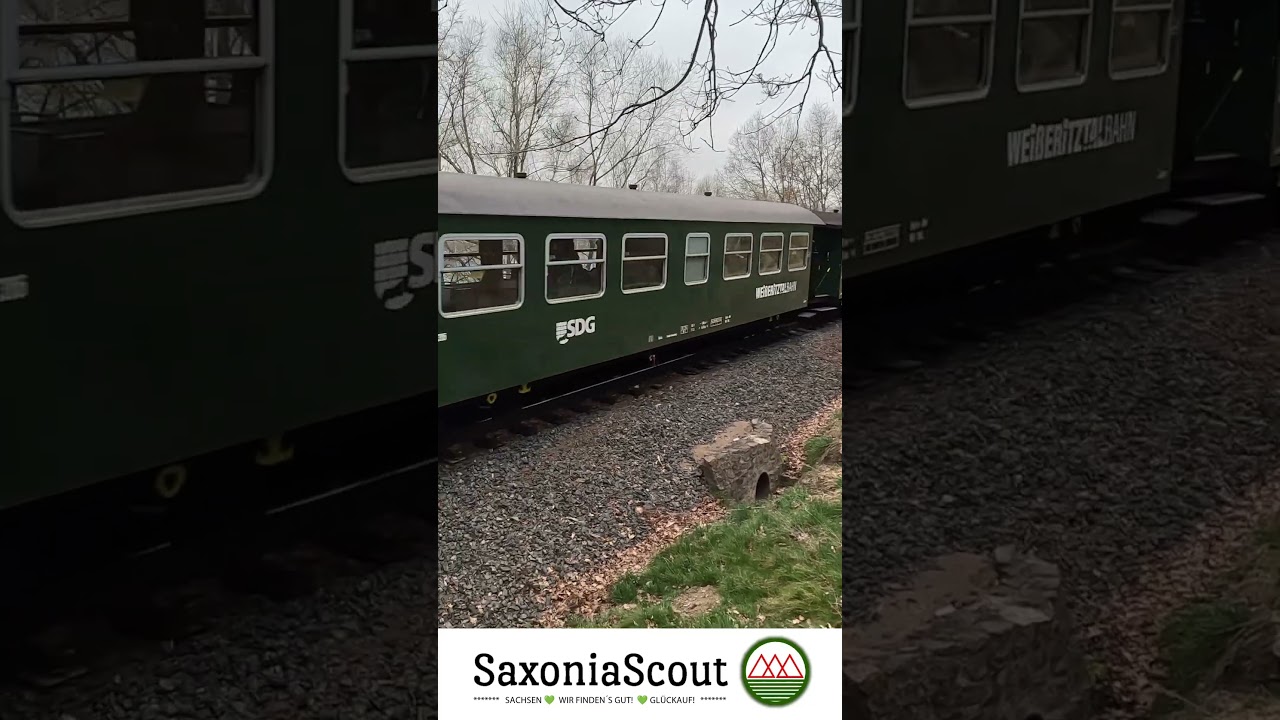 Bahnbegleiter ;)