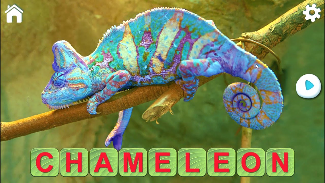 Learn to Read and Save the Animals 3