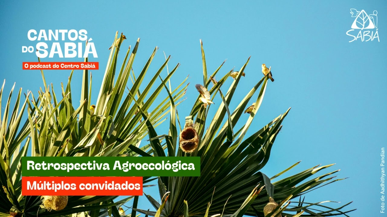 Retrospectiva Agroecológica - Cantos do Sabiá