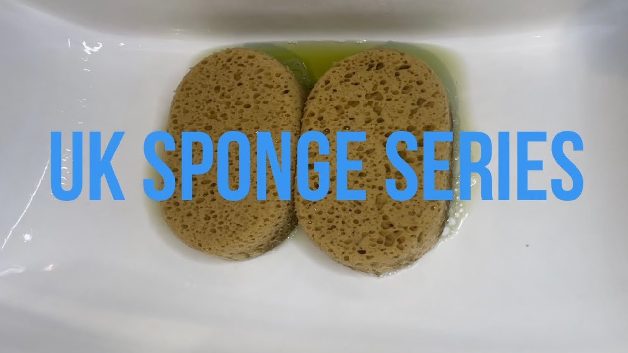 ASMR Soapy Sponge Squeezing: UK Sponge Series Part 1