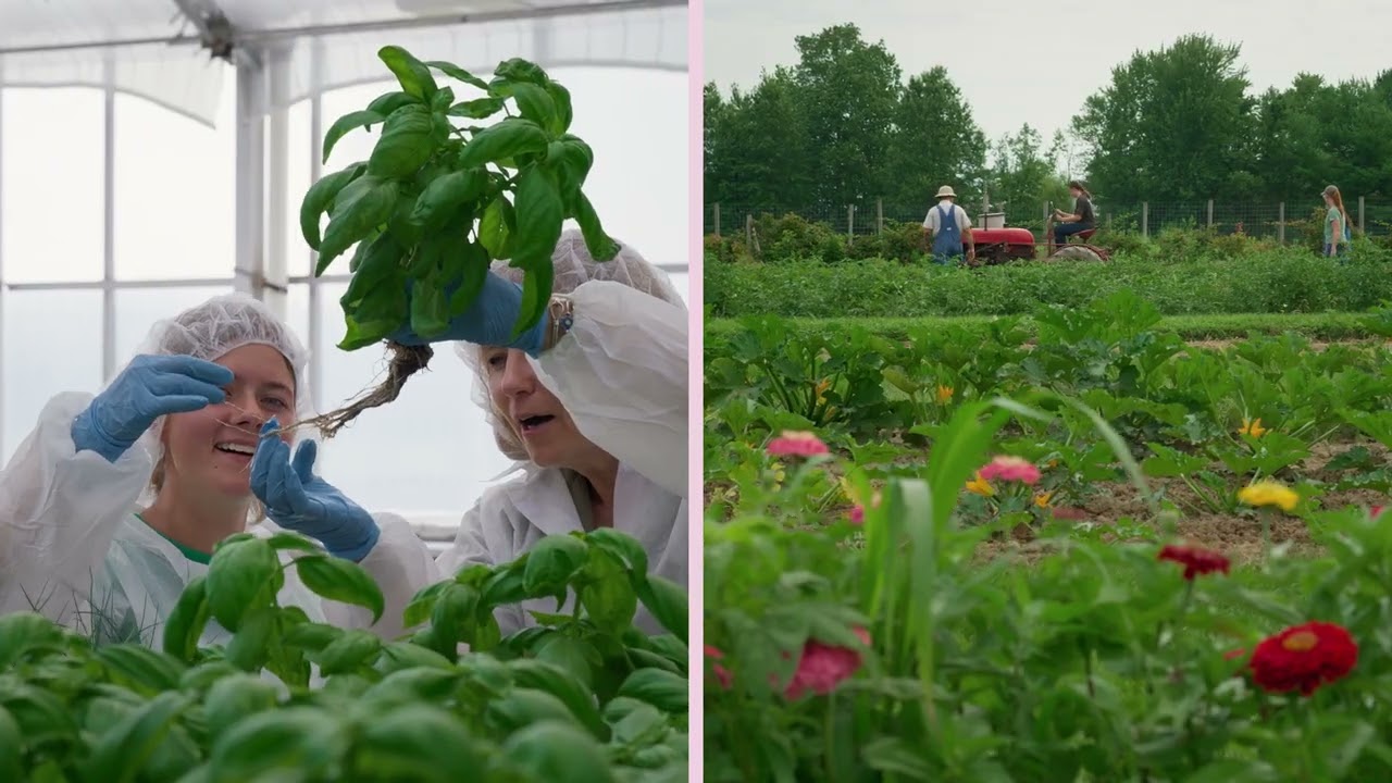 BBC StoryWorks: Unearthing the Future