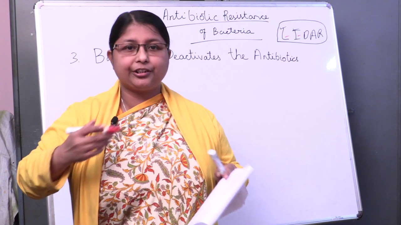 Antibiotic Resistance of Bacteria