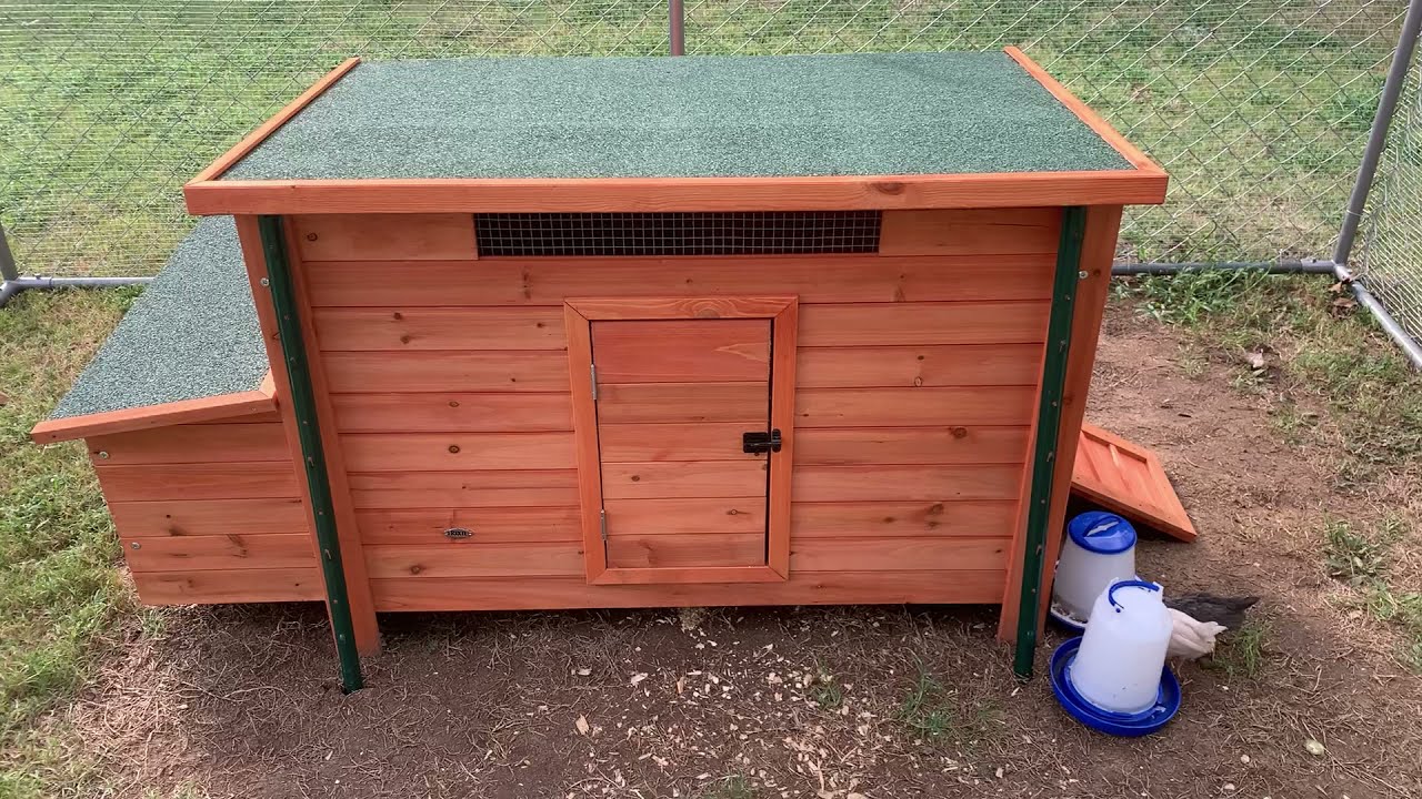 TRIXIE Chicken Coop Review