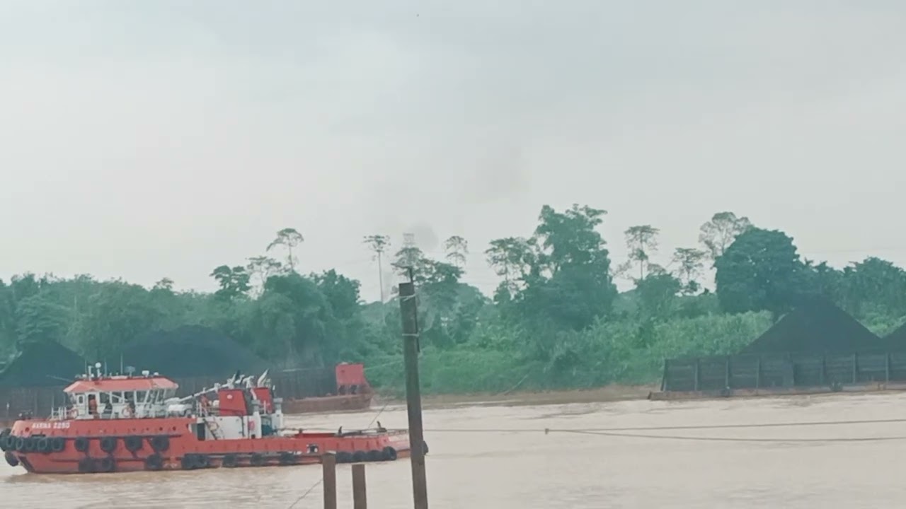 Lalu lalang tongkang batu bara di sungai batang hari 🔥🔥#kapal #tongkang #batanghari #jambi #sungai 