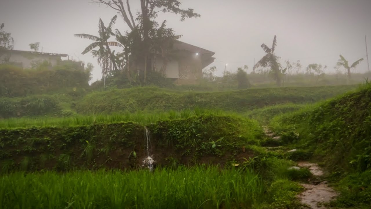 Desa di Atas Awan! Kabut Menyelimuti Desa Pegunungan