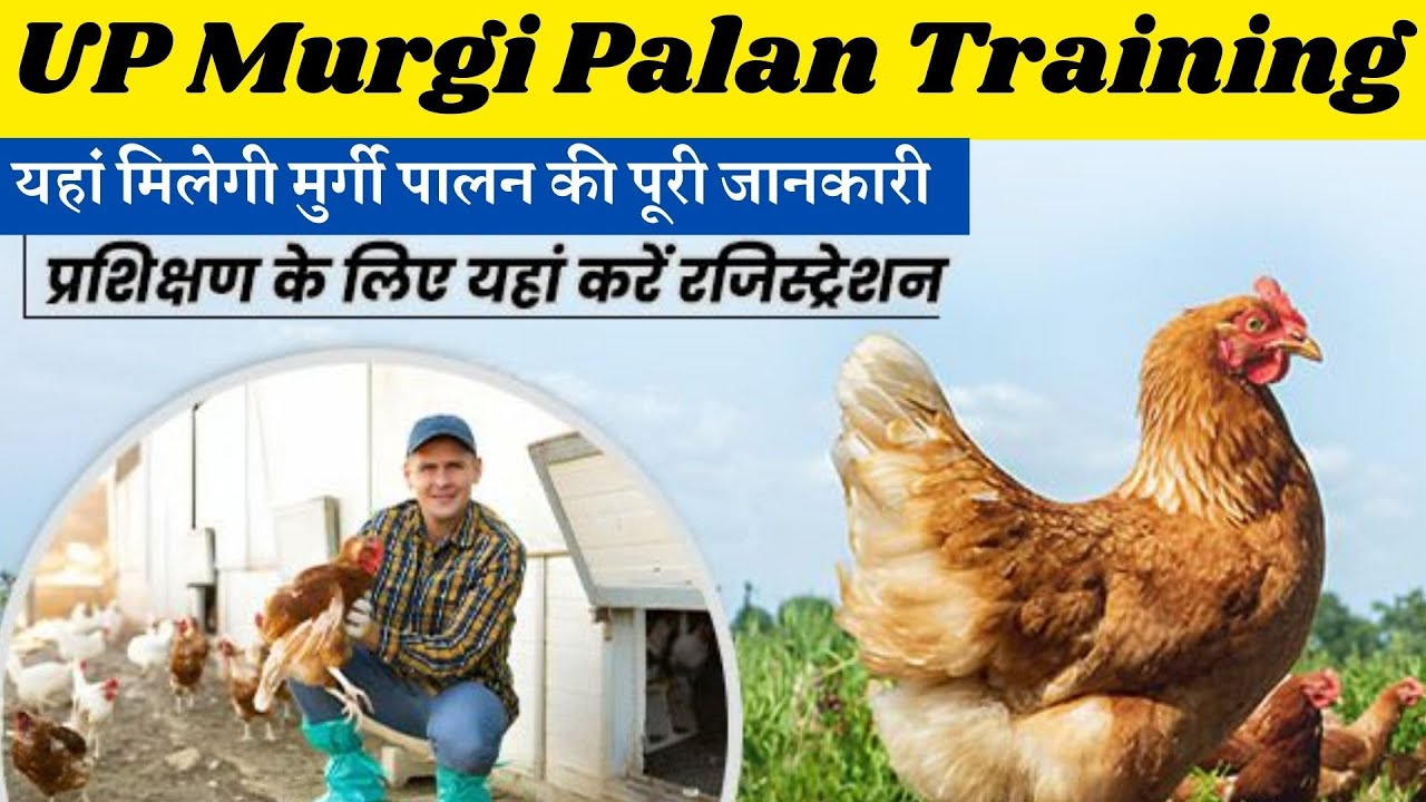 यहां मिलेगी मुर्गी पालन की पूरी जानकारी || Poultry Farming Training || UP Murgi Palan Training