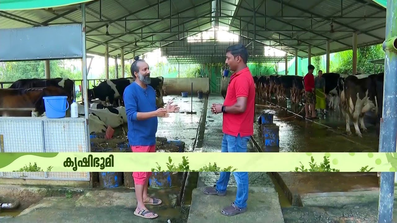 ഞങ്ങളിത് പ്രോഫിറ്റ് മാത്രം നോക്കിയല്ല ചെയ്യുന്നത്; എഞ്ചിനീയറായ ക്ഷീരകര്‍ഷകന്‍ പറയുന്നു | Wayanad