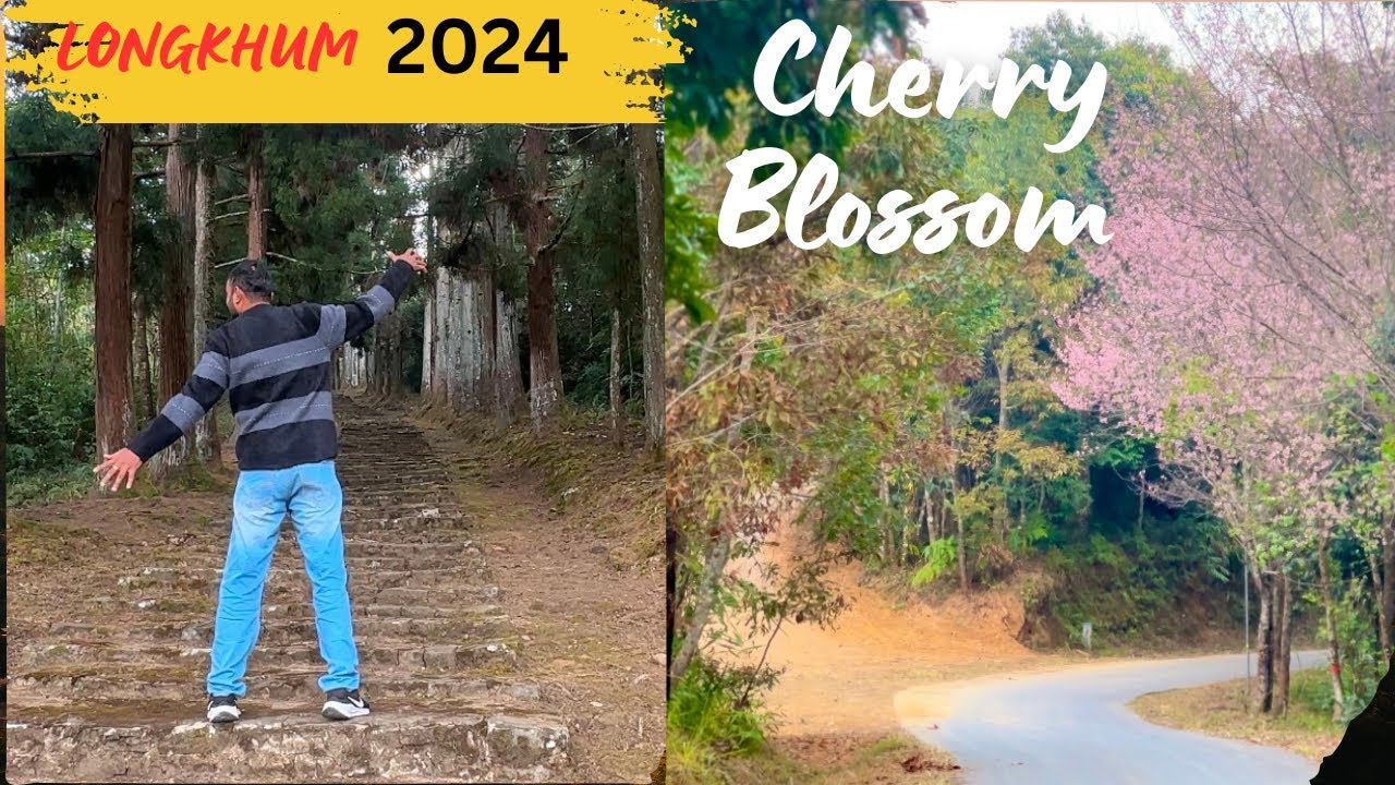 Preparation 2024||Cherry 🌸 Blossoms festival ||Longkhum||Nagaland