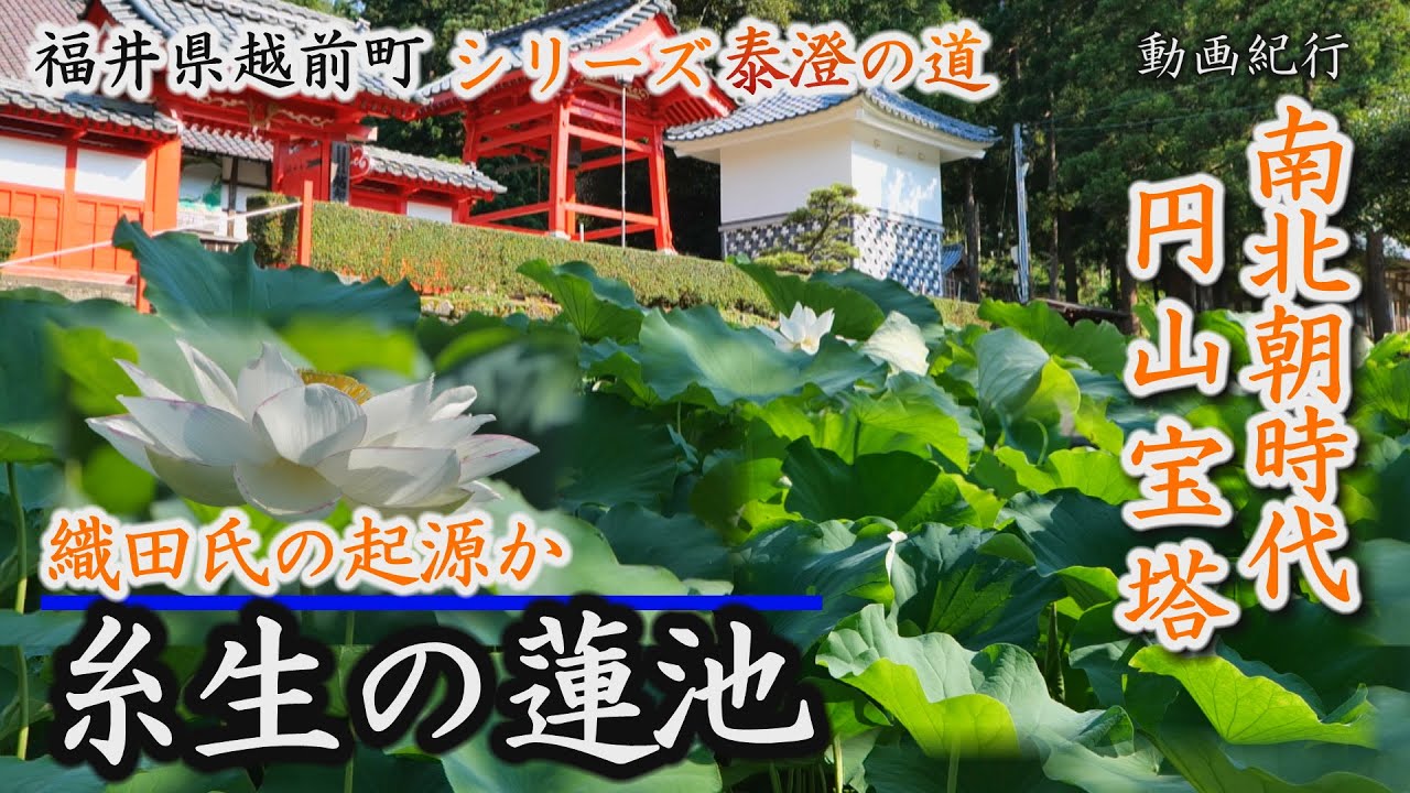 泰澄の道～「織田」の起源・糸生の蓮池～越前町【動画紀行・福井県】