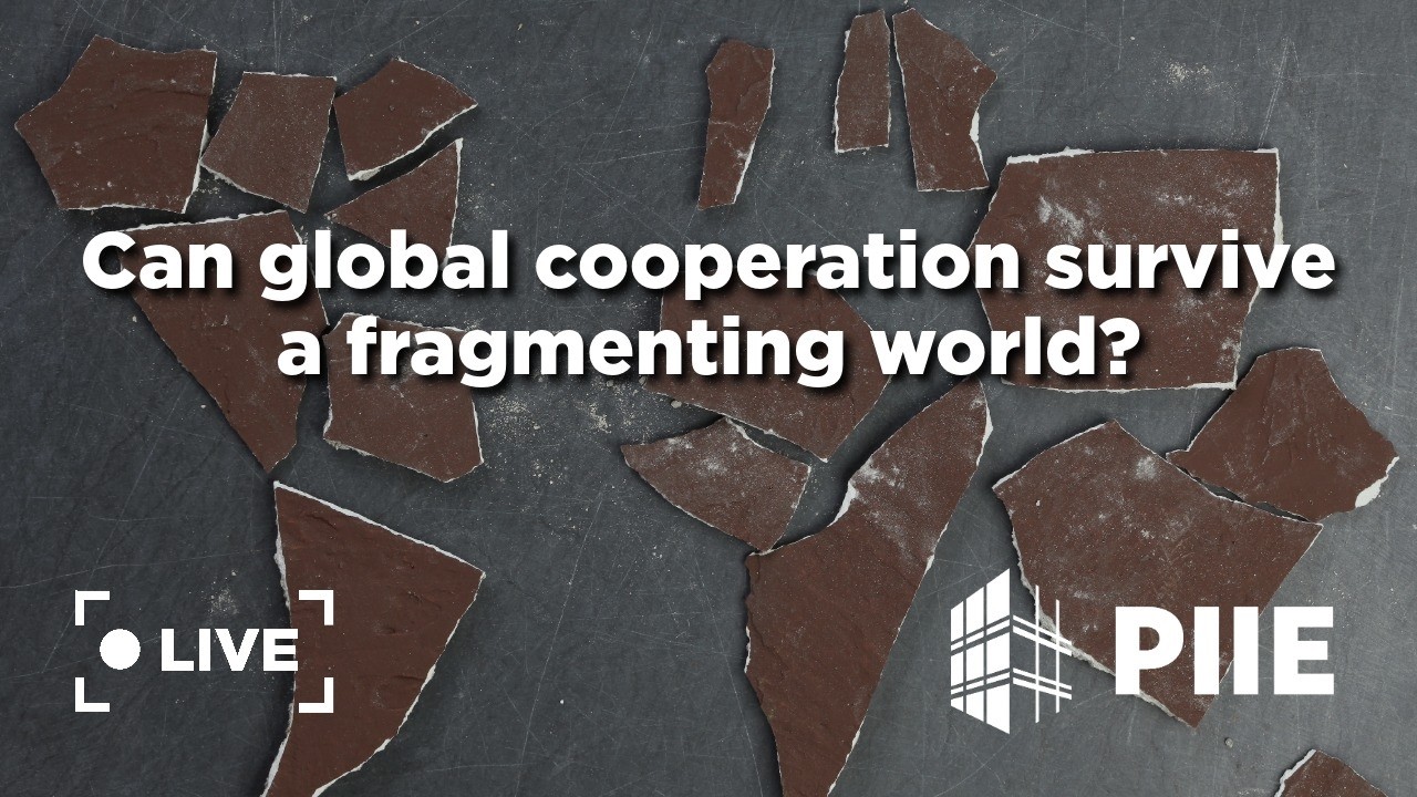 Can global cooperation survive a fragmenting world?