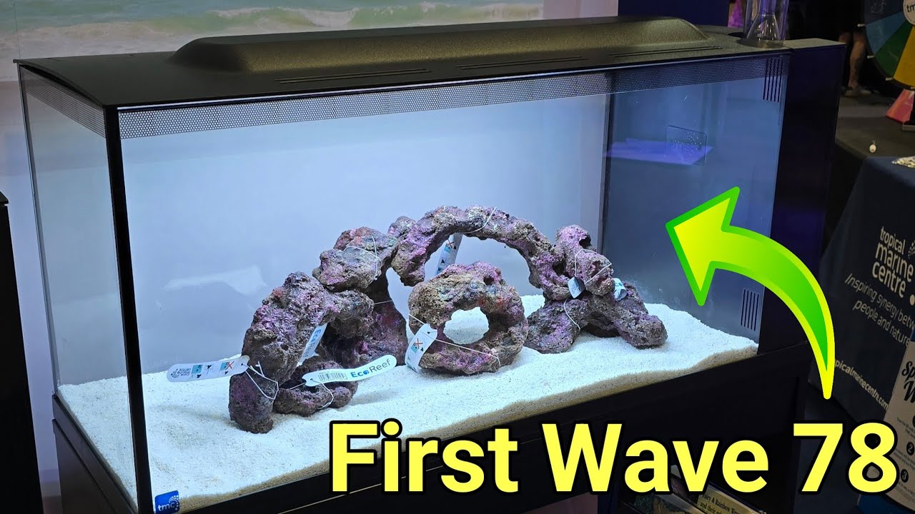 Танк TMC First Wave 78 Nano Peninsula! AquaH 2025