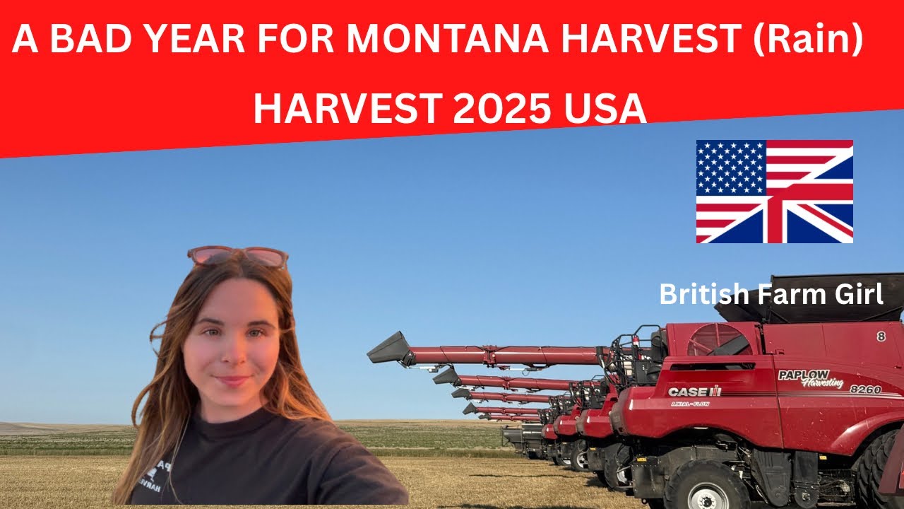A BAD HARVEST IN MONTANA 2025