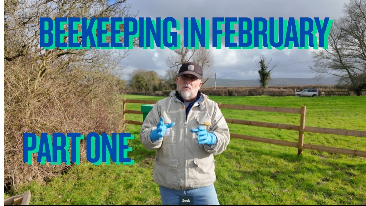 Пчеловодство в феврале, часть 1