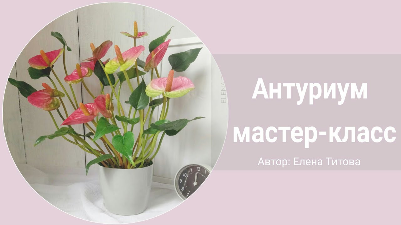 МК АНТУРИУМ из фоамирана  и работа с вайнерами / DIY / Handmade Anthurium.