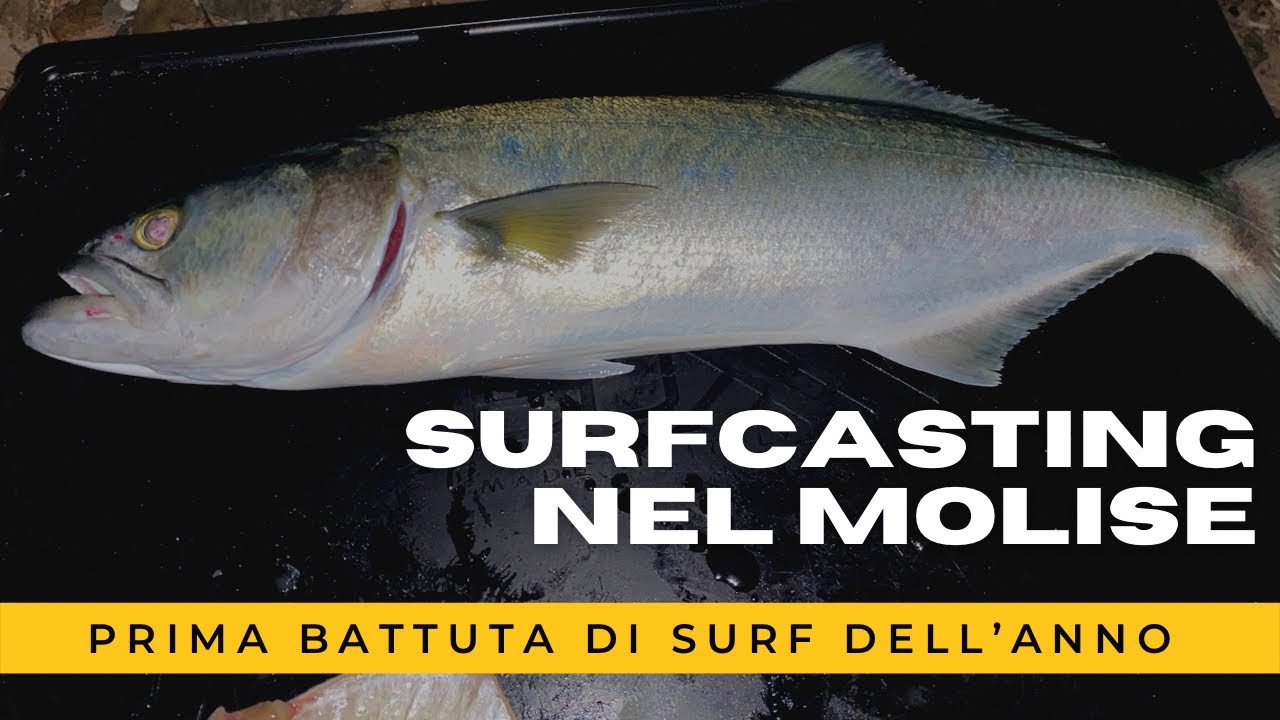 Prima battuta di Surfcasting della stagione nel MOLISE