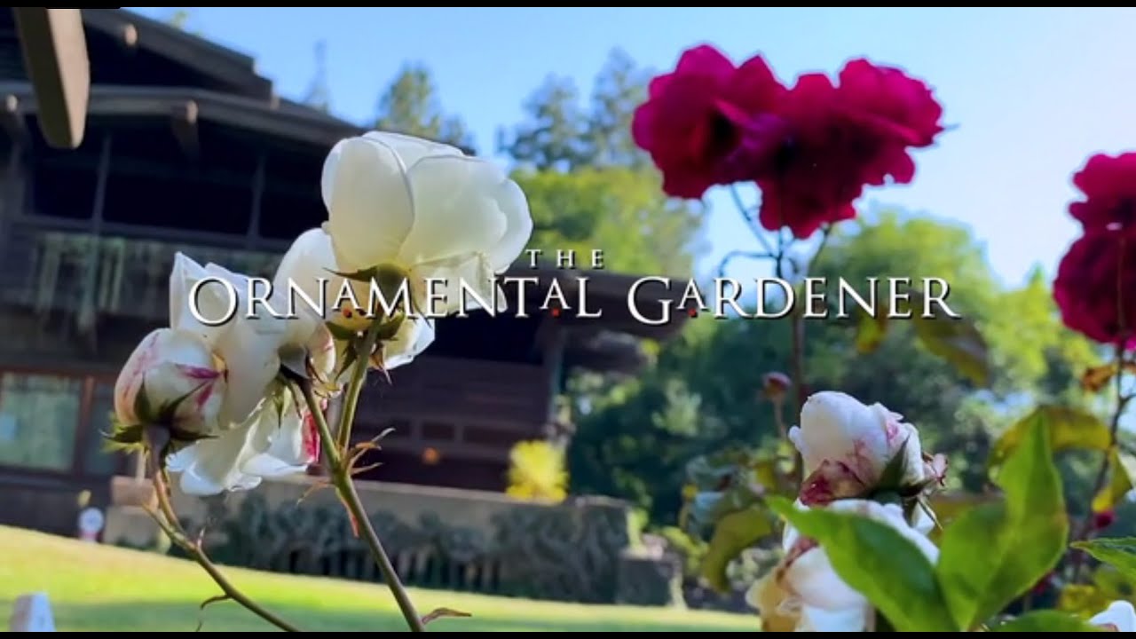 The Ornamental Gardener :: Gamble House Connect