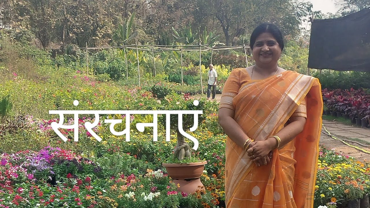 हिंदी की संरचनाएं , वाक्य की संरचनाएं , विभिन्न संरचनाएं, sanrachnaen डॉ कल्पना मिश्रा हिंदी aec