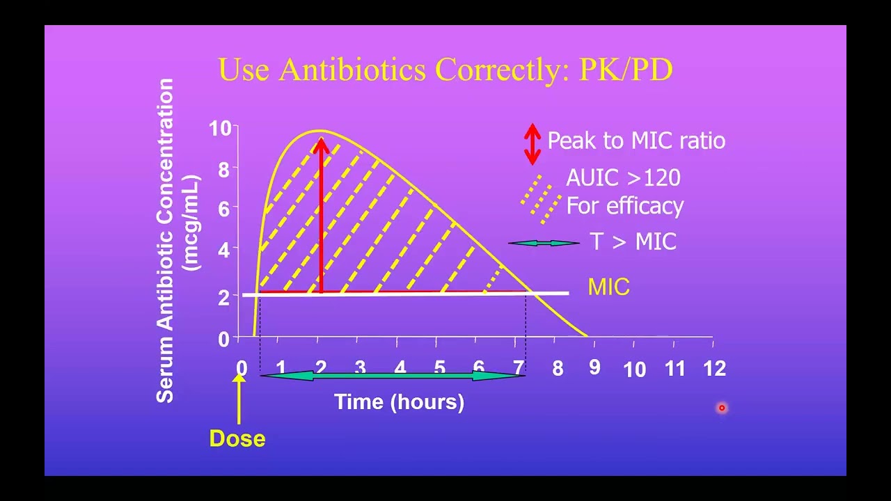 Gram Negative Infections in the ICU - Guy Richards