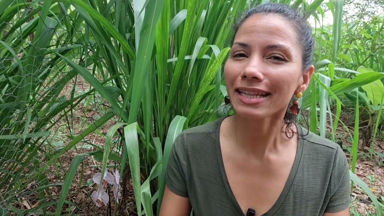 Sinais da Sombra (AUTOSSABOTAGEM de INÍCIO de ANO).