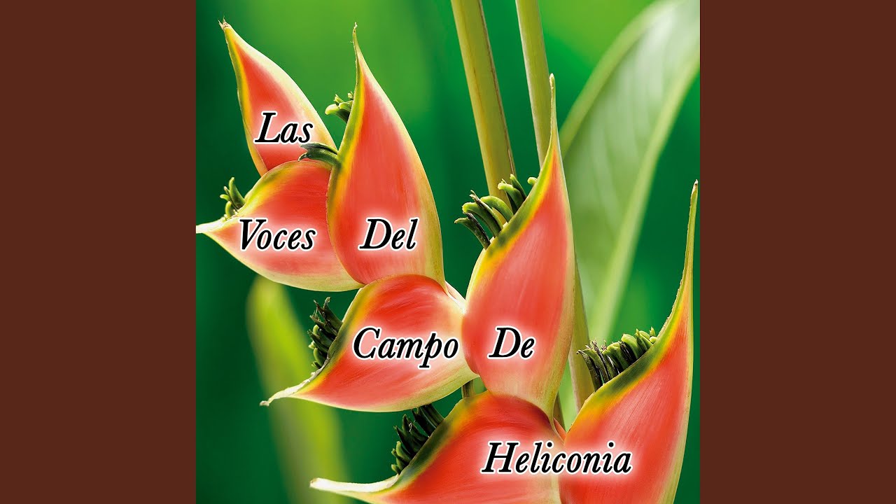 Hogar Feliz