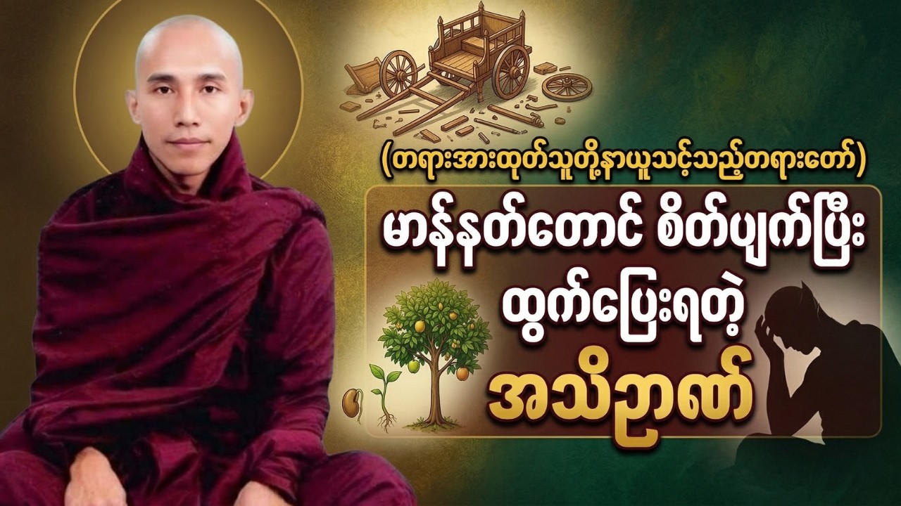 မာန်နတ်တောင် စိတ်ပျက်ပြီး ထွက်ပြေးရတဲ့ အသိဉာဏ် (၀ဇိရာထေရီ နှင့် သေလာထေရီ) - #သစ္စာရွှေစည်ဆရာတော််