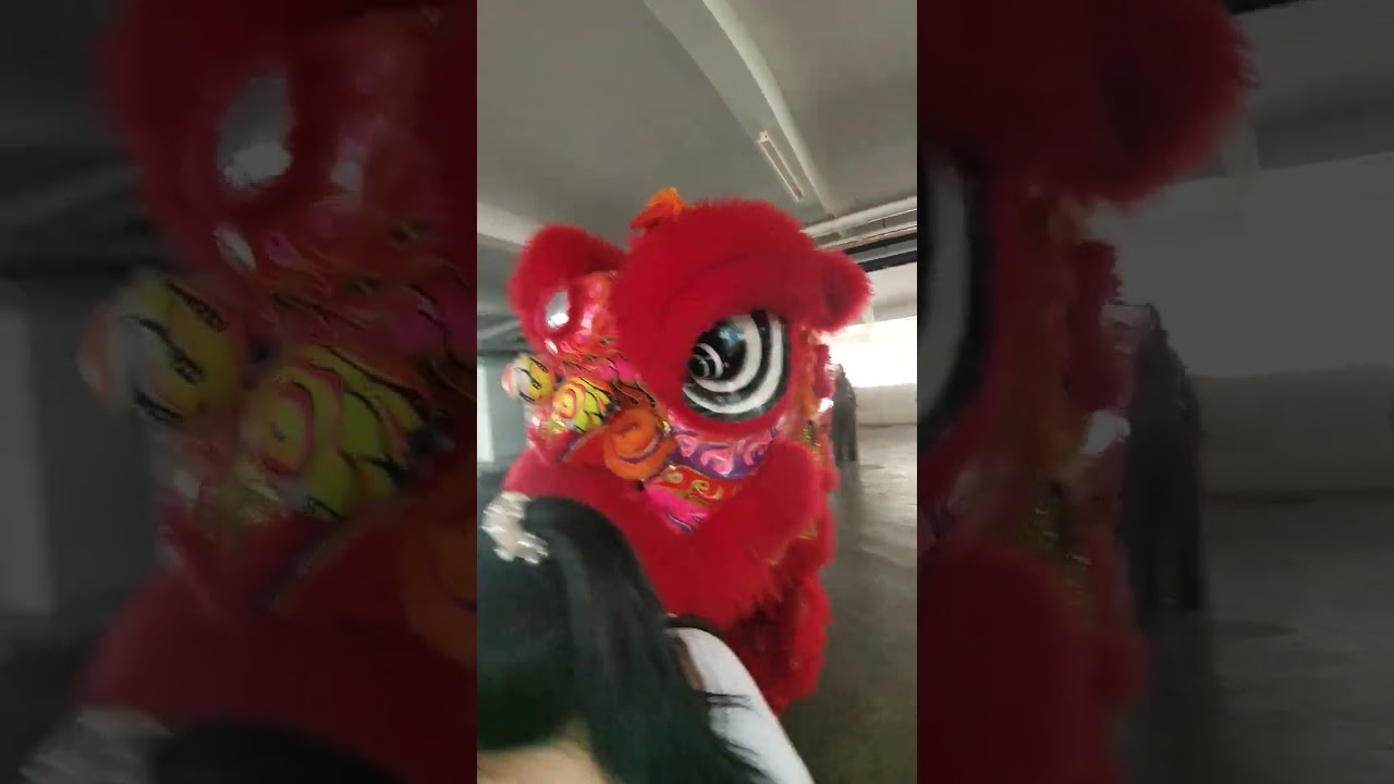 CNY lion face 舞狮表演