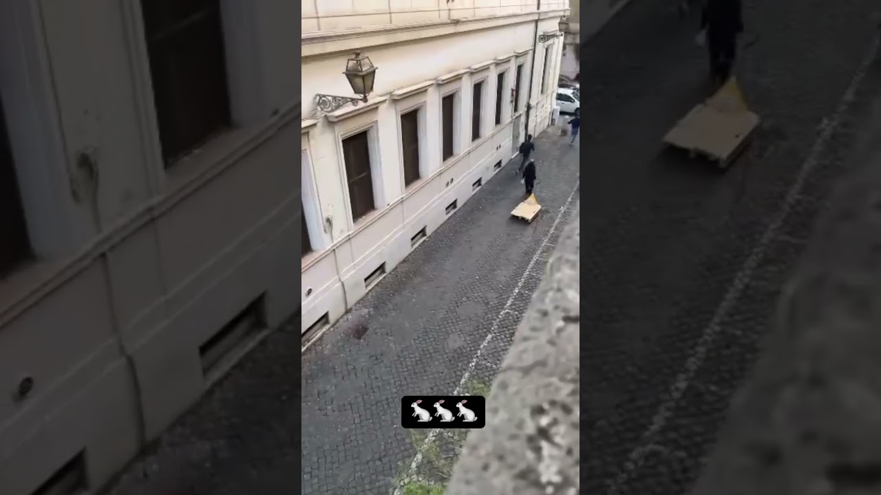 Collettivo Liceo Cavour
