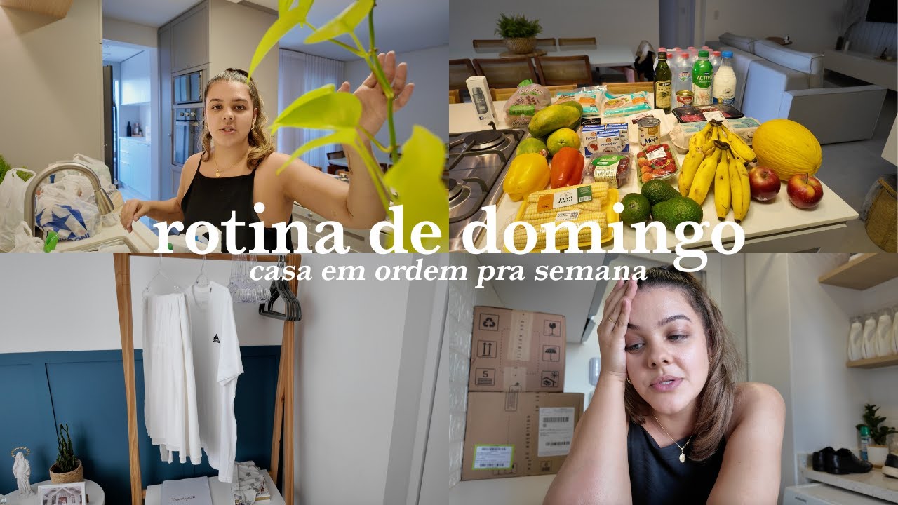 Vlog domingo, compras pra semana, geladeira e casa em ordem e processo de investigação das perdas