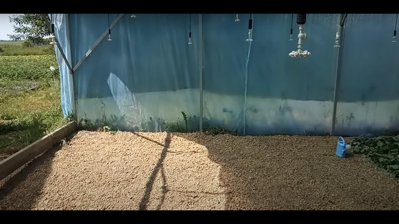Конструкция Рассадника для клубники  #клубника#виноград#рассада