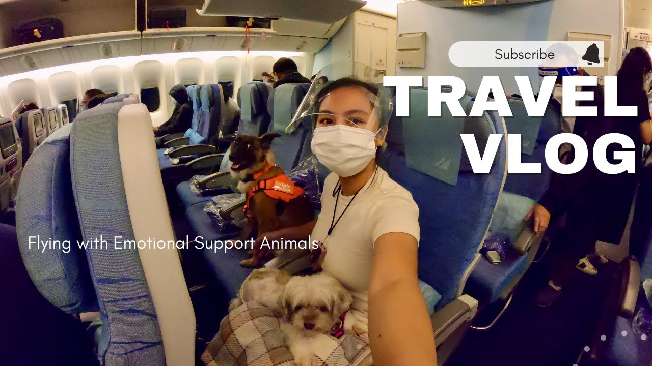 How to fly with two ESAs/Dogs in the cabin (Requirements) Philippines to the USA