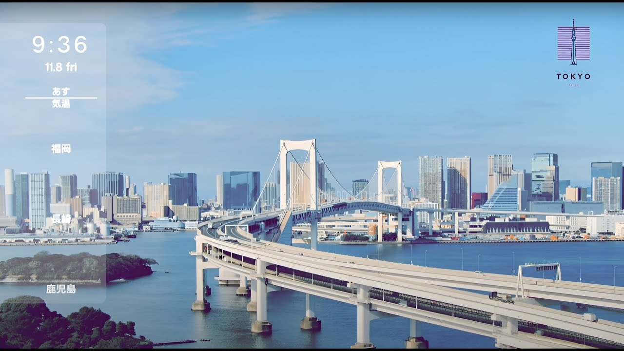 お台場 ライブカメラ 東京 Tokyo Odaiba Live Camera 2024.11.8