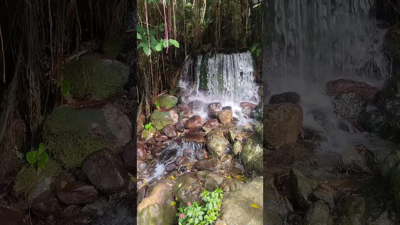 Bamboo Garden Resort