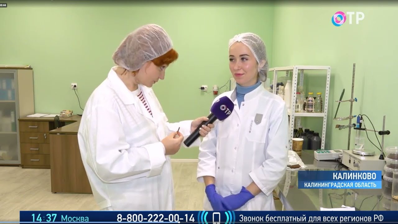Производство яблочной пастилы 29.10.2019
