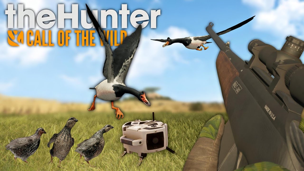 CAÇANDO GANSOS e CODORNAS com O NOVO CHAMARIZ ELETRONICO! - The Hunter Call Of The Wild