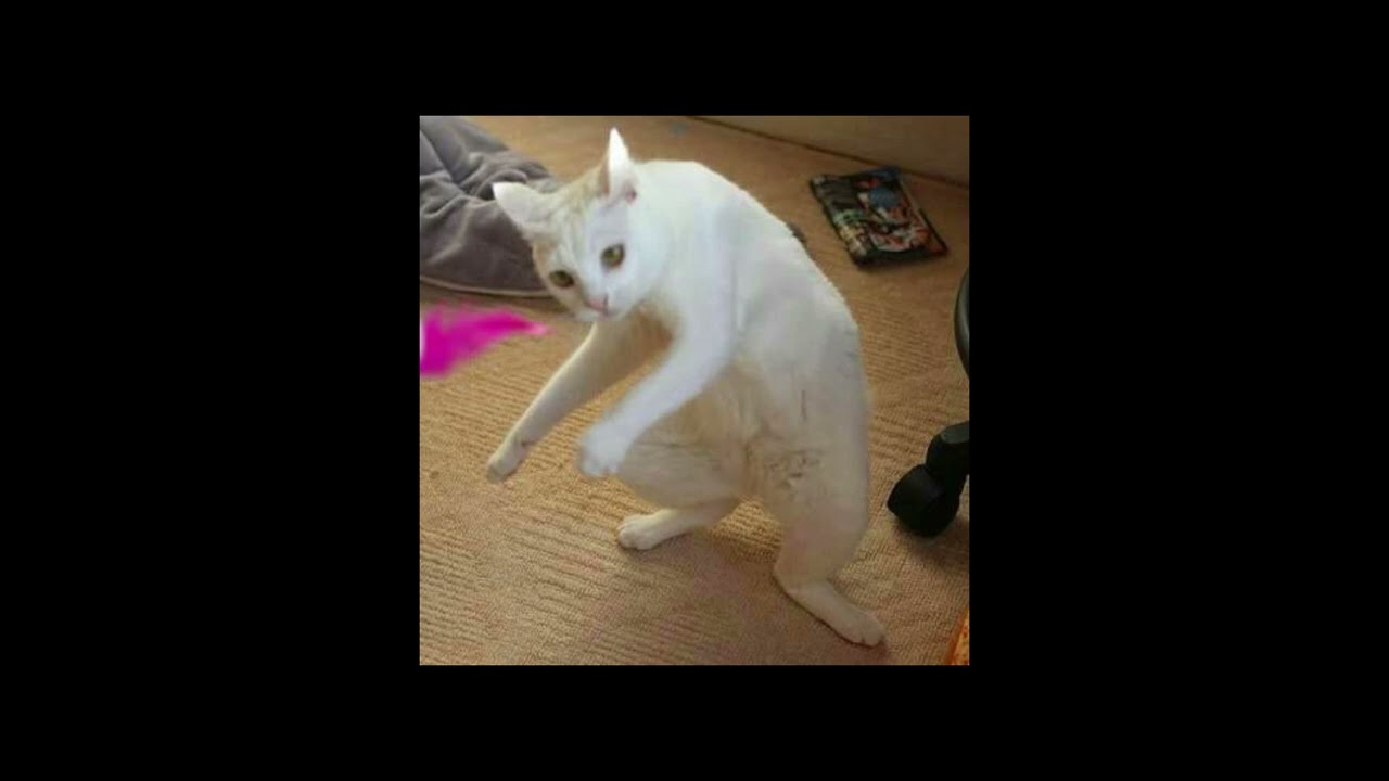 David Guetta Ft. Sia - She Wolf (sped up)