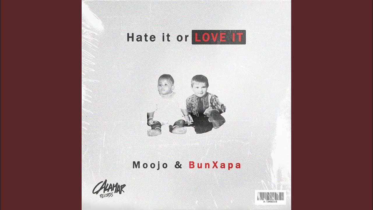 Hate It Or Love It