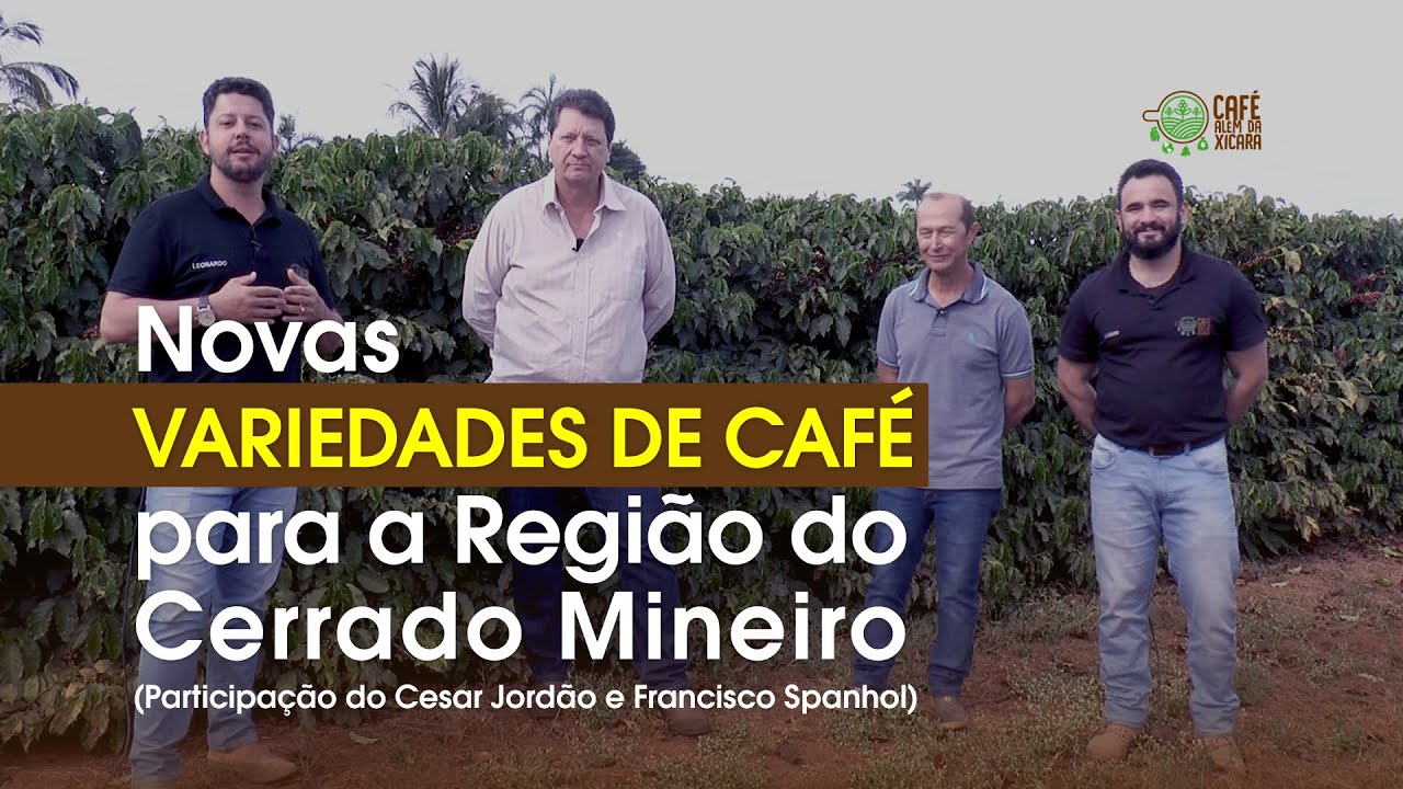 Novas Variedades de Café para Região do Cerrado Mineiro | Café Além da Xícara