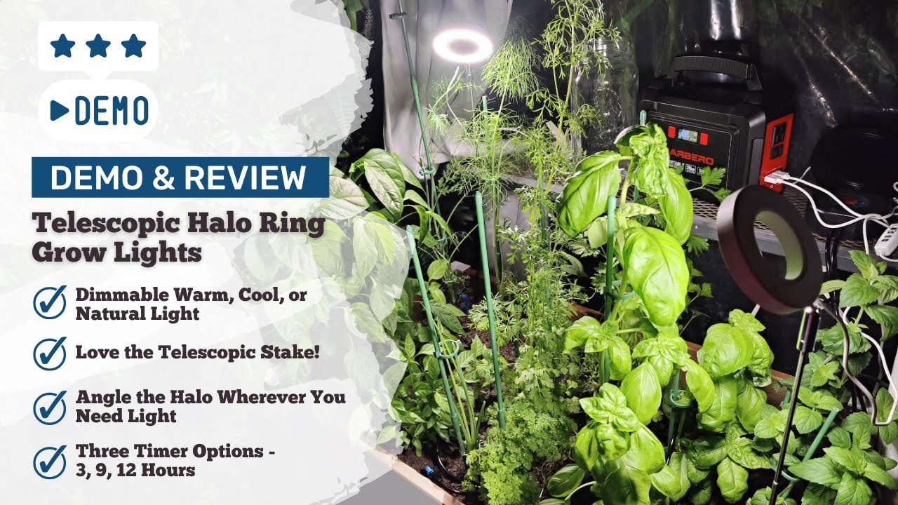 Telescopic (So Cool) Halo Ring Grow Lights Hywyimlait - Demo and Review