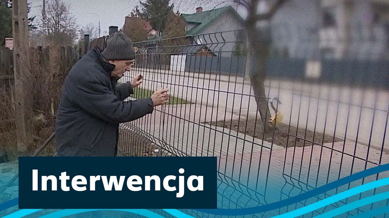 50 ofiar jednego 