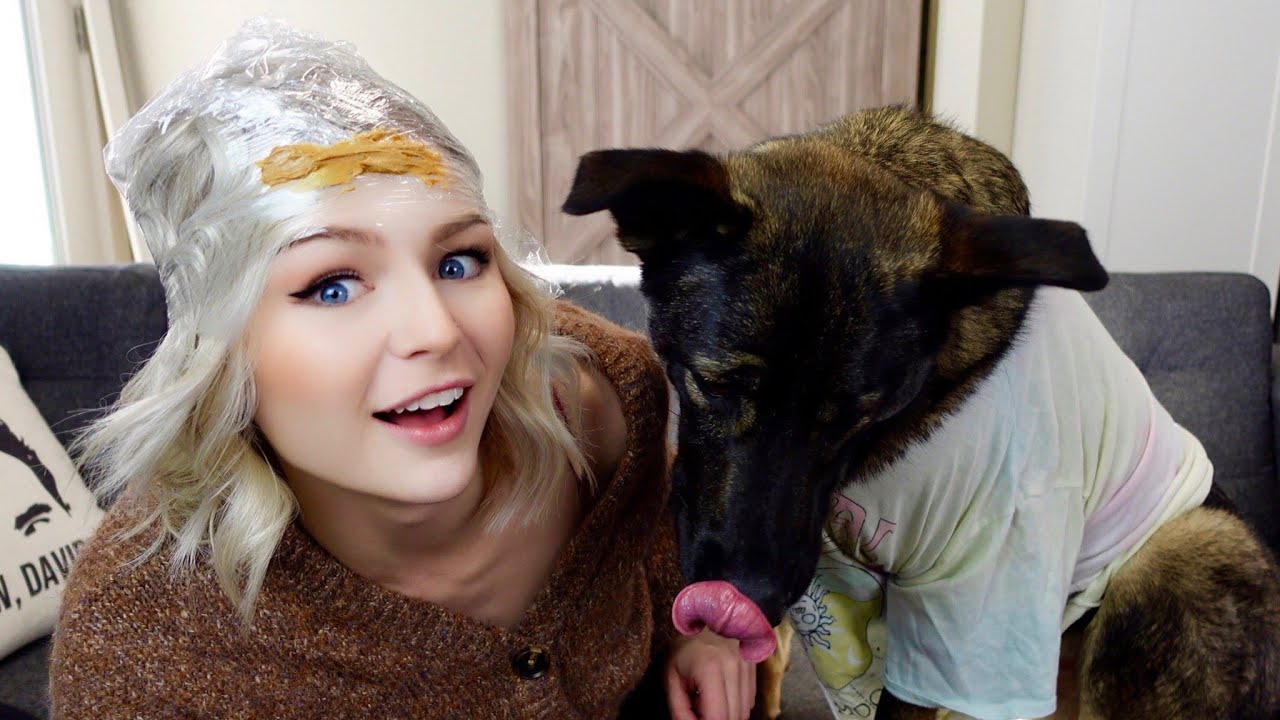 Trying Dumb 5 Min Crafts with My Dog