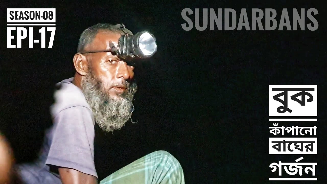 বুক কাঁপানো বাঘের গর্জন | দুবলার চরের মানুষের গল্প | সিজন ০৮ | পর্ব ১৭ | Mohsin ul Hakim