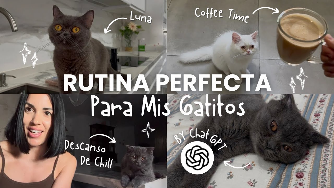 ChatGPT crea la RUTINA perfecta para mis GATOS🐈‍⬛ ¡y la seguimos!🤭