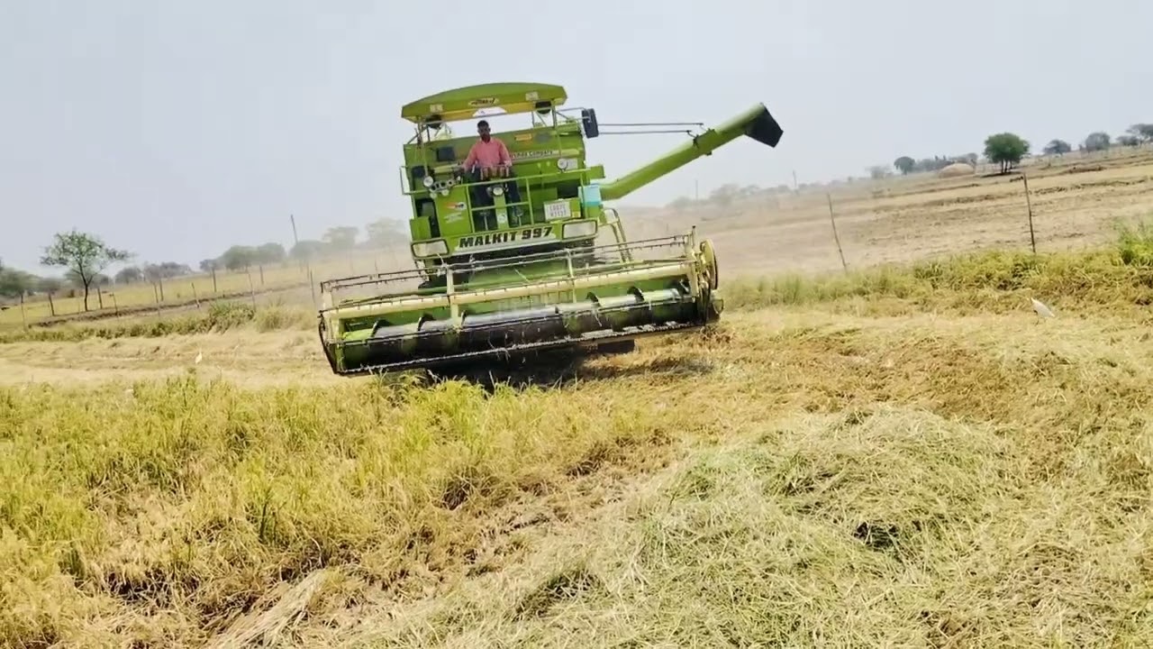 06 DAY GARMI DHAAN 🌾💸 SEASON KHATAM,HONE WALA HAI MALKIT 997 COMBINE HARVESTER VLOGS KARTAR 4000