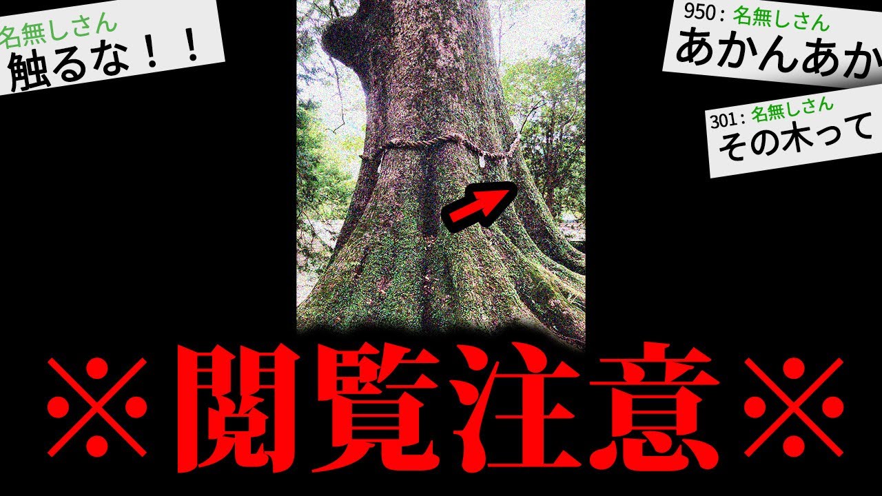 【閲覧注意】あまりにも不気味な怖すぎる話「祟り木」