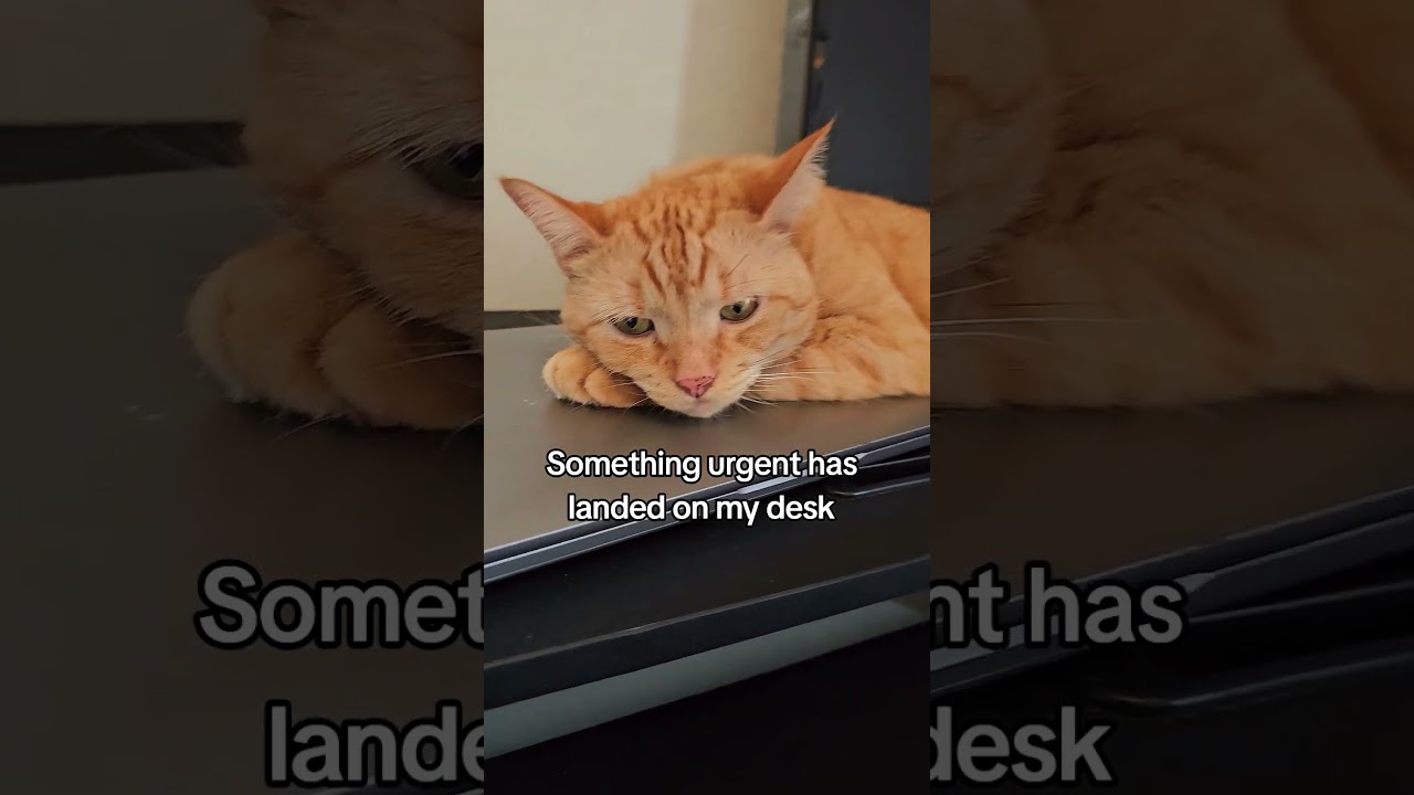 Ian wasn't happy when I suggested we start work so guess I'll have to wait 🤷‍♀️😏 