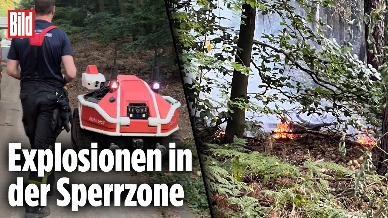 Erste Bilder nach Großbrand aus der Sperr-Zone des Grunewalds | Berlin