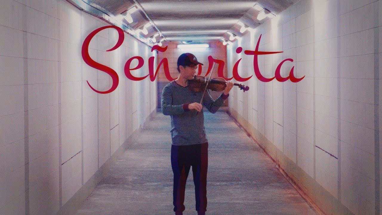 Señorita - Violin Cover